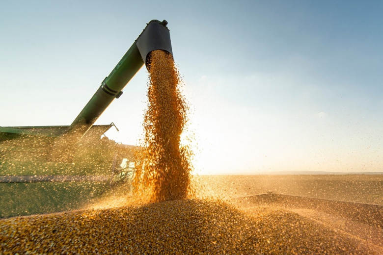 В России собрали уже свыше 123 млн тонн зерна – Минсельхоз 